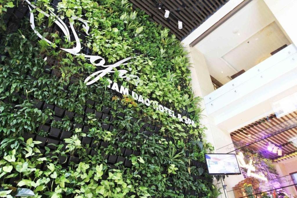 Thang Loi Tam Dao Hotel Bagian luar foto