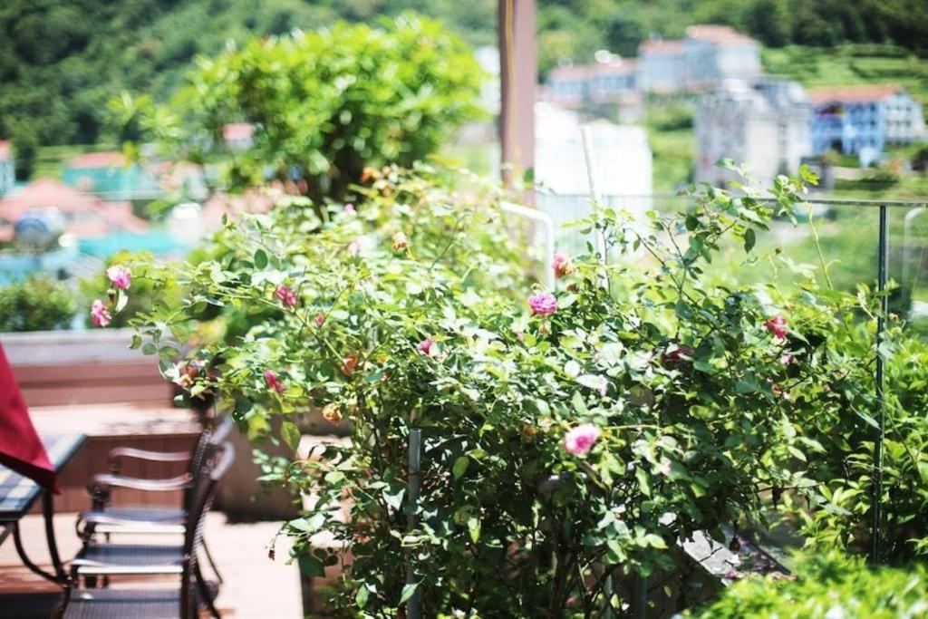 Thang Loi Tam Dao Hotel Bagian luar foto